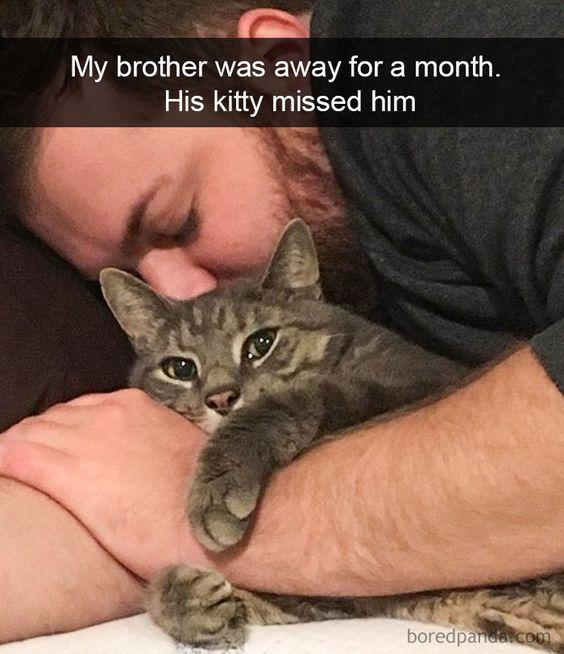 WholesomeMeme's tweet image. 