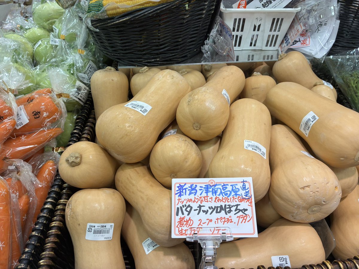 新潟津南高原直送 野菜いろいろ
