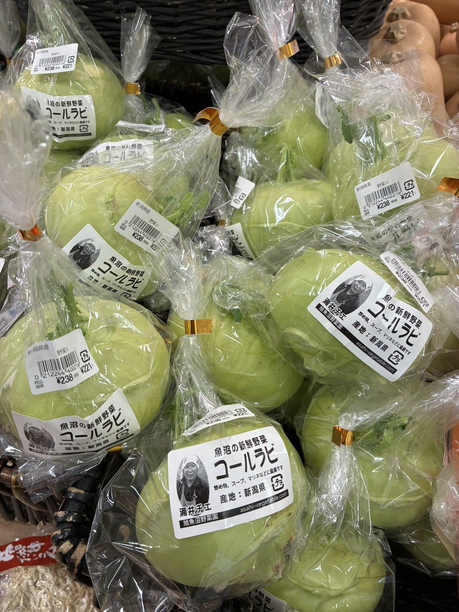 野菜 アグリンフレッシュ 旬のおまかせ野菜BOX 約7kg(10種前後) 9月12日以降