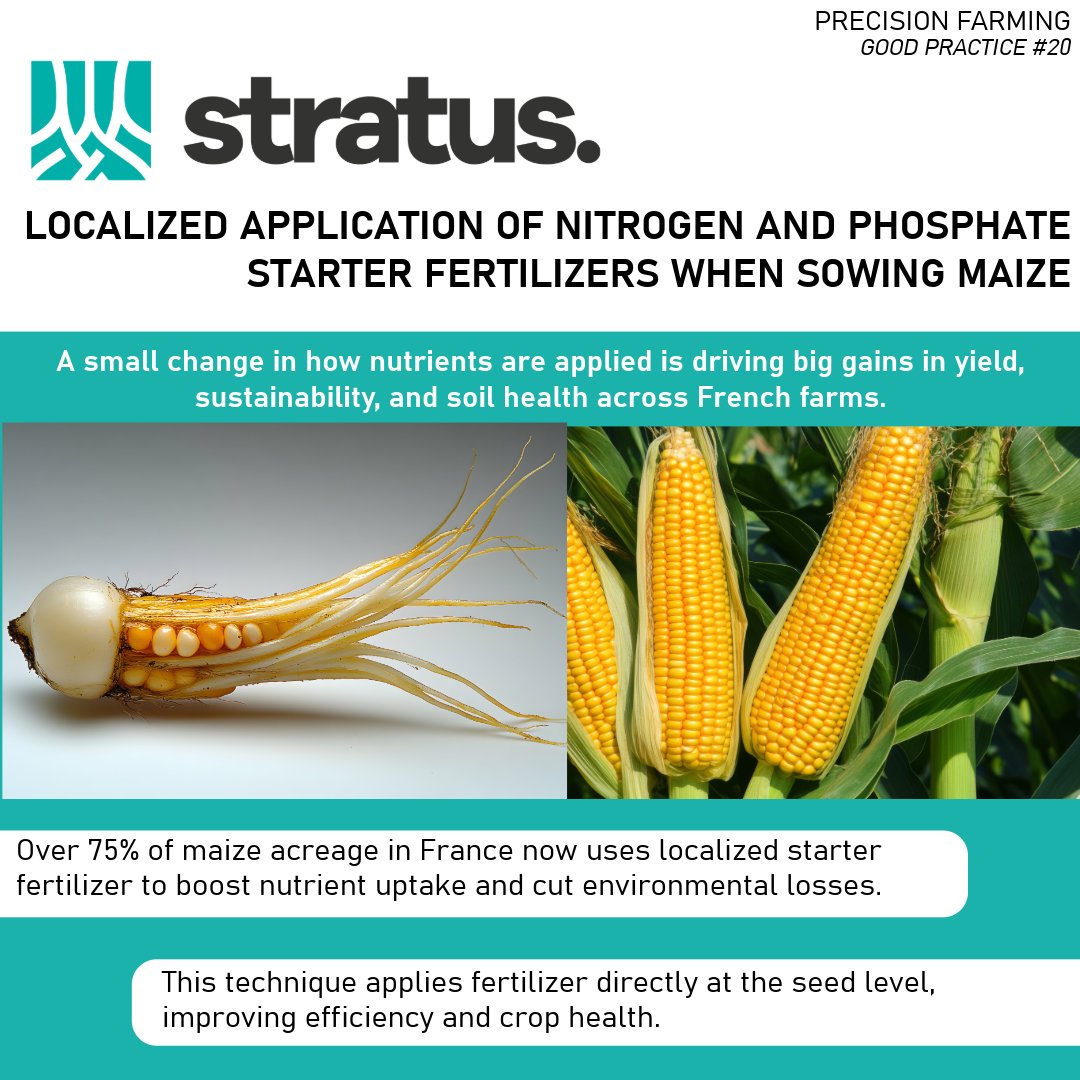 STRATUS_EU's tweet photo. STRATUS is sharing the knowledge collected accross Eurpe to promote a more sustainable way to use fertilizers building a better future for agriculture.

👇Learn more here 👇
https://t.co/aX0QA1dQG9 https://t.co/kxdWUBX9lY
