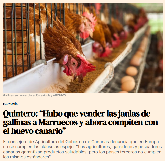 Quiero recordar que gracias a la Unión Europea se retiraron las jaulas de gallinas en España y se llevaron a Marruecos. Ahora nos venden huevos más caros producidos en las mismas jaulas.