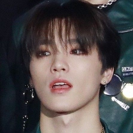 dino (@dailydinopics) on Twitter photo 