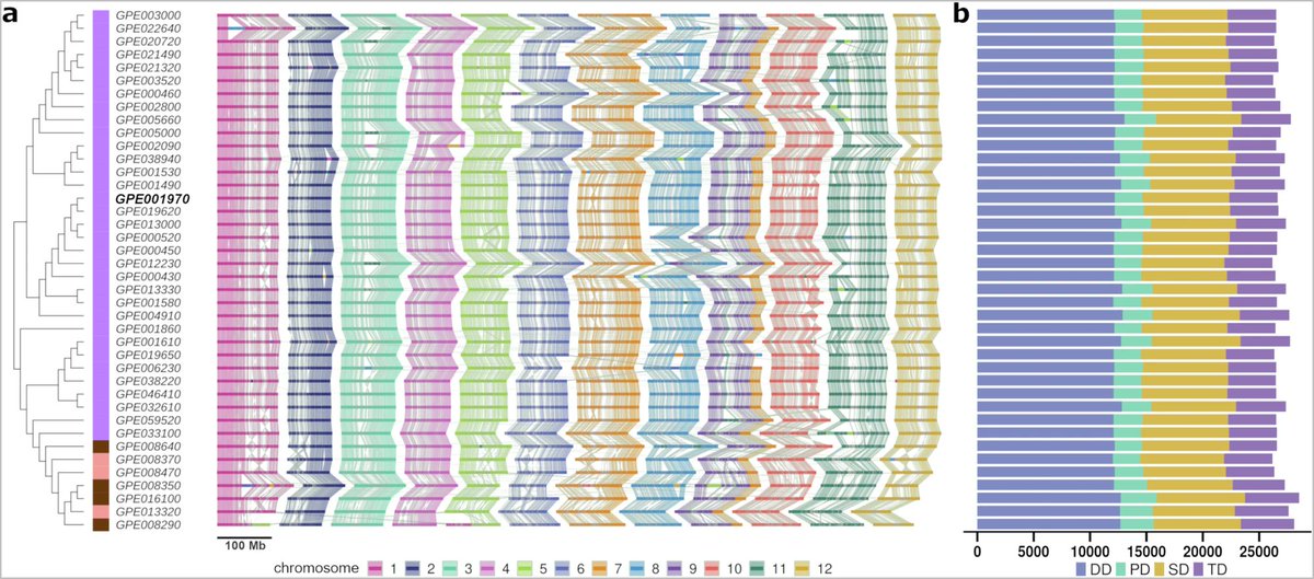 usadellab tweet media