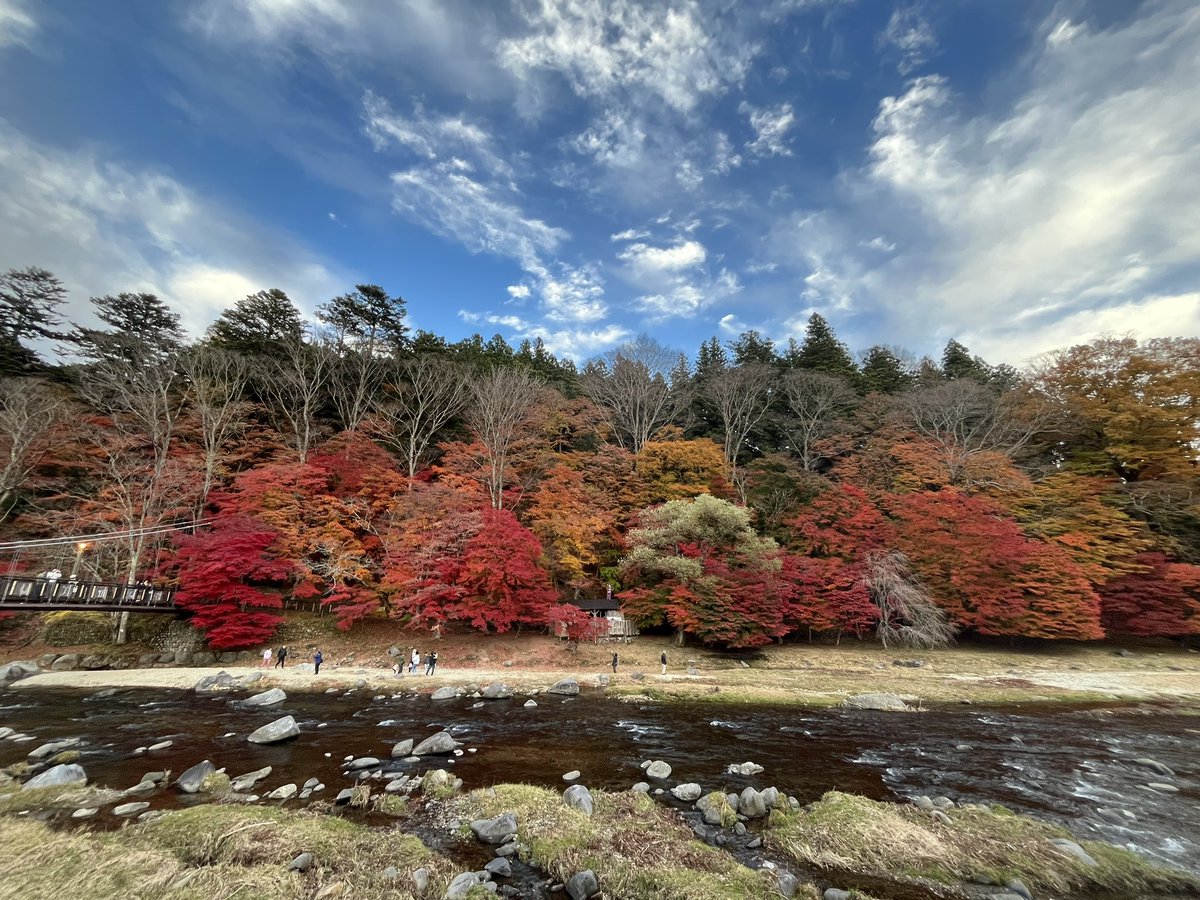 中国 天然太湖石 紅木 中国 天然太湖石 紅木