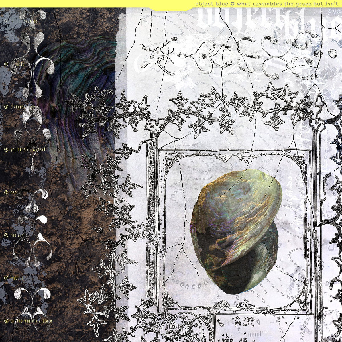 dro carey tweet media