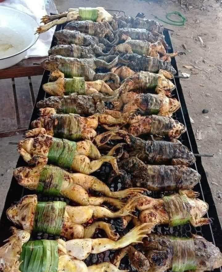 ترويقة اليوم 🐸🐸
🔥⚔️💛💙⚔️🔥