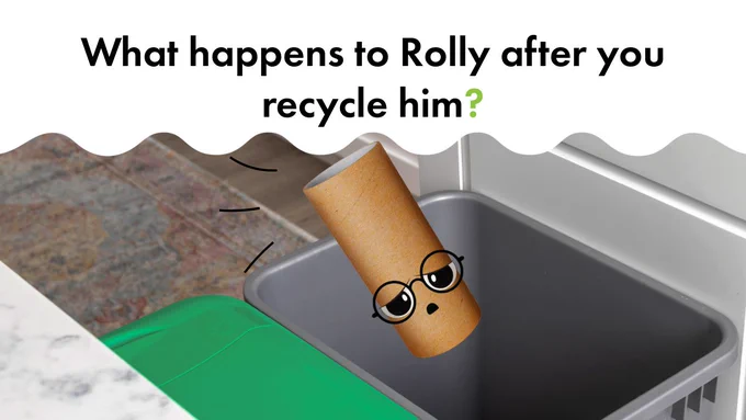 A grey recycling bin in a kitchen pull-out drawer. A toilet roll tube is falling into the bin with a worried expressive doodled on face and rounded spectacles. A wavy white filled shape covers the top third of the image with black text: "What happens to Rolly after you recycle him?"