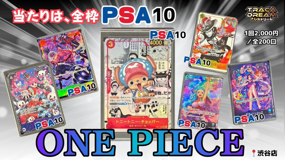 ワンピースカードのラインナップ紹介✨ 💎当たり枠はすべて〔PSA10鑑定