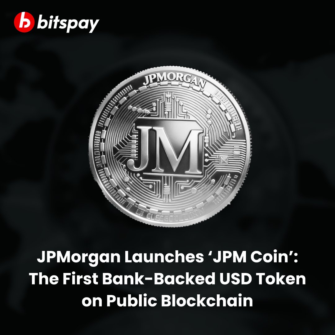 Bitspay (@bitspay_global) on Twitter photo 