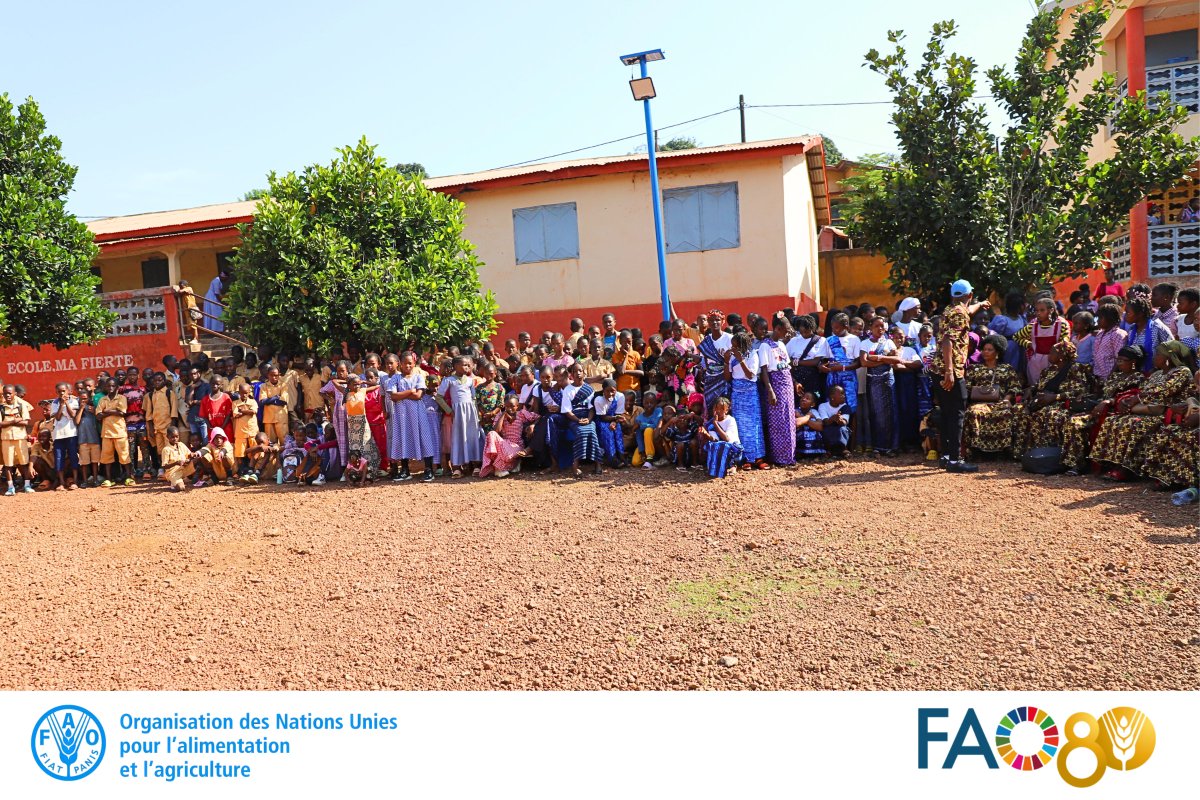 En marge de la JMA, #FAOGN a célébré les #80_ans de la #FAO à l’école #Mody_Sory_Camara_Gouz à Mamou.
🟢Sensibilisation au reboisement
🟢Remise d’équipements de salubrité
🟢Mise en terre d’arbres fruitiers &amp;
🟢Eclairage public solaire pour un avenir durable.
#FAO80 #Guinée