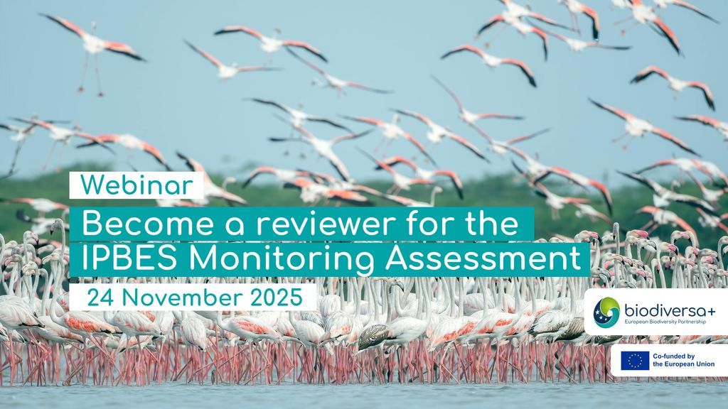 Biodiversa+ (European Biodiversity Partnership) tweet media