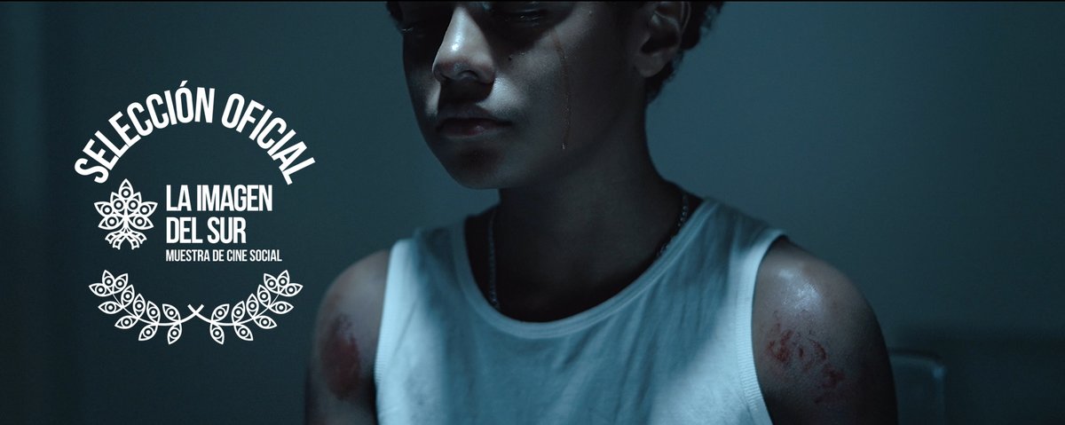 Jóvenes Realizadores tweet media