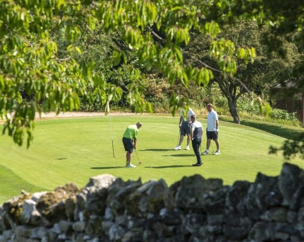 happygolf tweet media