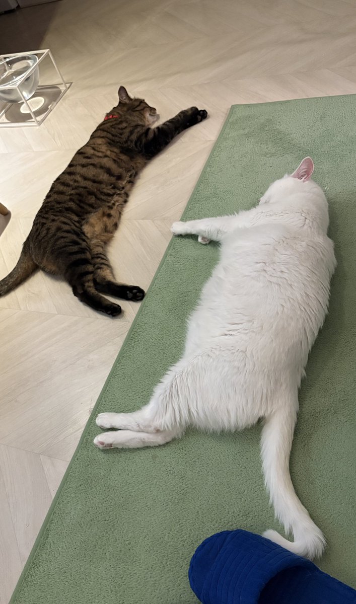 내가 줄 맞춰 정리해놓은거 아님