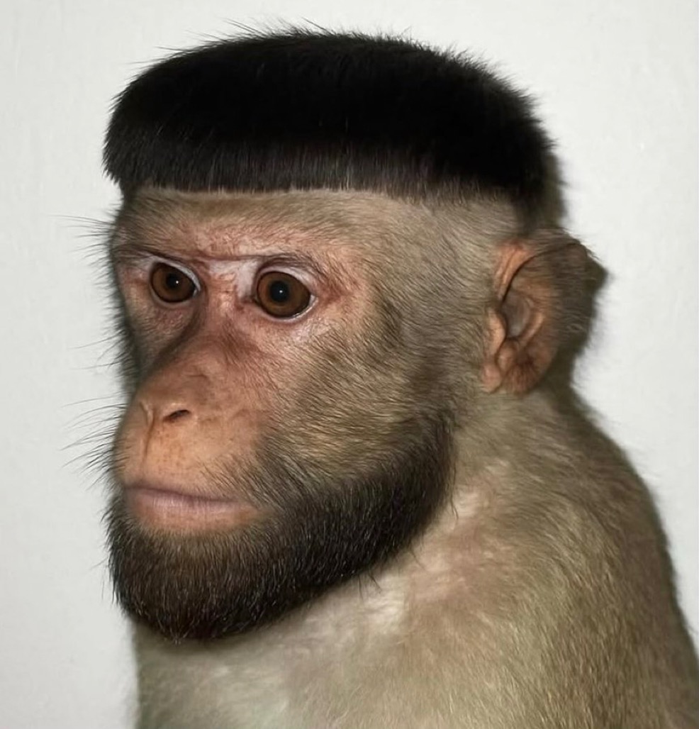 war beim friseur wie findet ihr