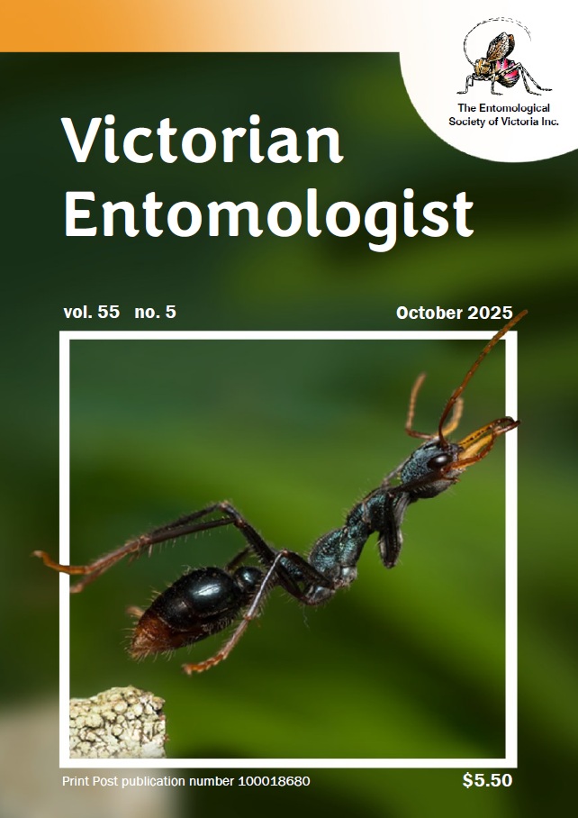 Entomological Society of Victoria 🐛🐜🦟🐞🕷️🦗 tweet media