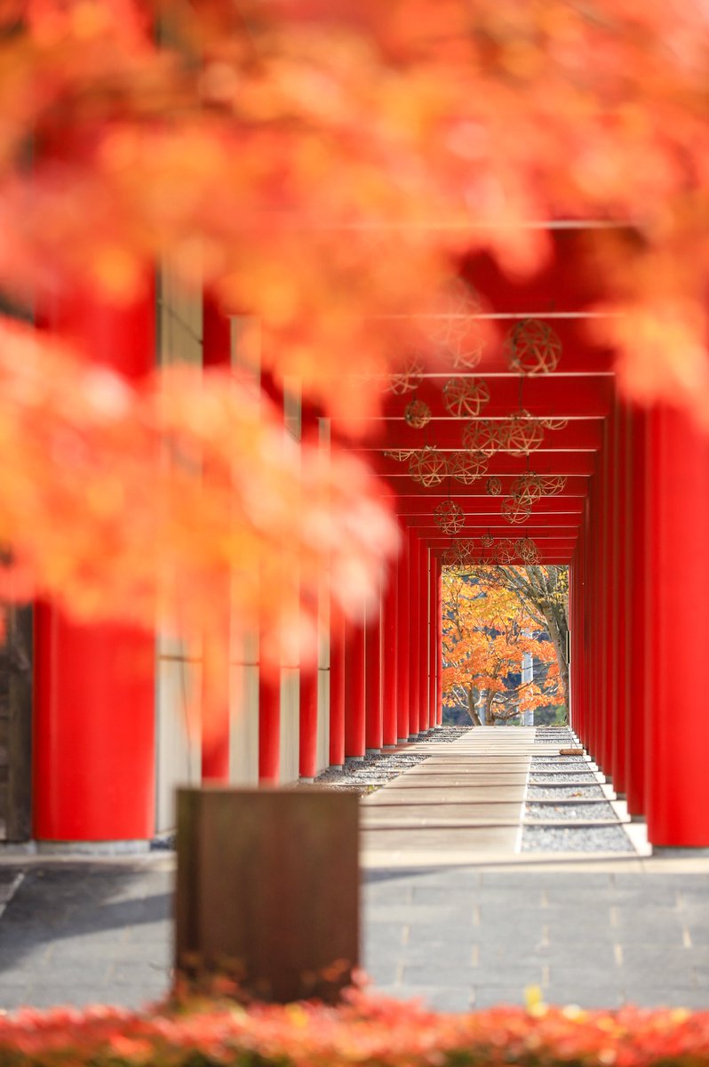 #涌谷町 の万葉の里も紅葉🍁に彩られています✨
週末は、武家屋敷の佐々木家屋敷とともに、紅葉狩り🍁をお楽しみください😌
tenpyou.jp
#わくわく涌谷 
#紅葉狩り 
#紅葉 #紅葉ドライブ