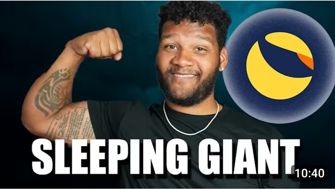 Terra Army 🐋 tweet media