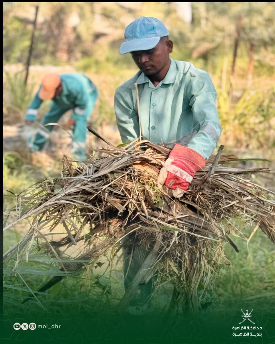 بلدية الظاهرة tweet media