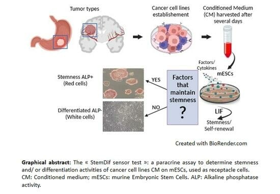 Biomed_MDPI's tweet image. Let’s take a look at this beautiful #GraphicAbstract: 🤖
Title: The “StemDif Sensor Test”: A Straightforward, Non-Invasive Assay to Characterize the Secreted Stemness and/or Differentiation Activities of Tumor-Derived Cancer Cell Lines
Link: 🌵
mdpi.com/2227-9059/11/1…