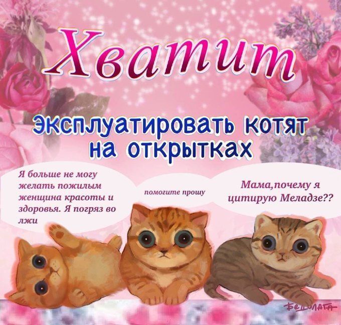 great_knee's tweet image. Прекратите!