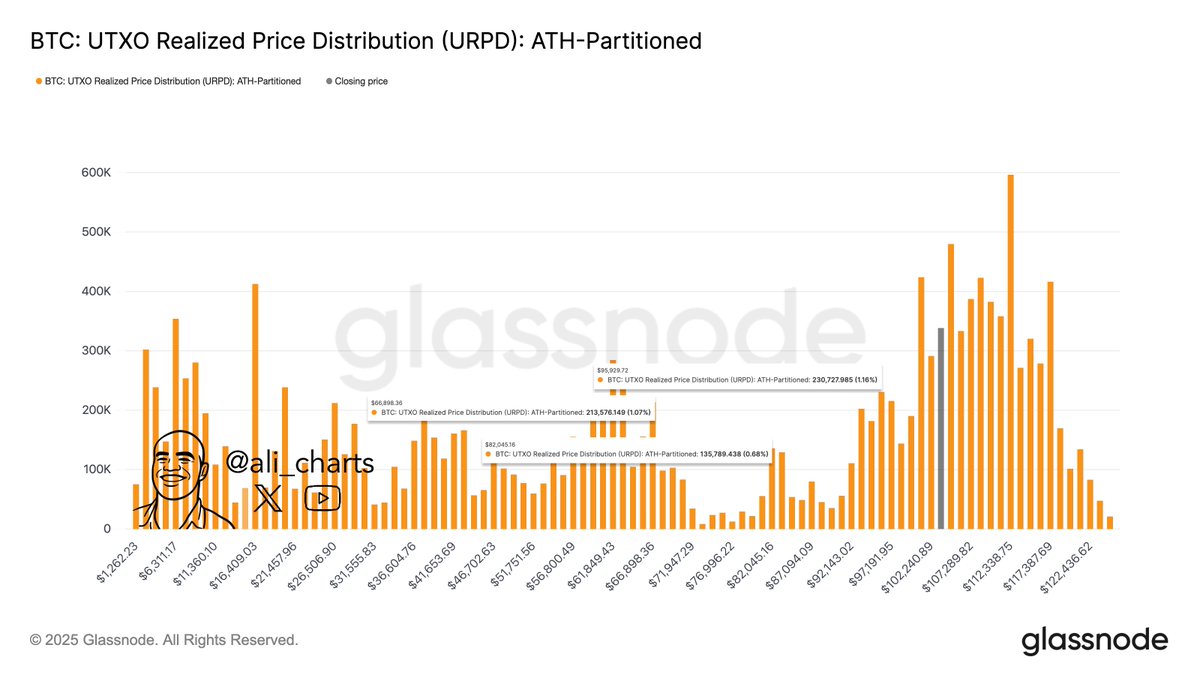 Below $95,930, the next key support levels for Bitcoin $BTC sit at $82,045  and $66,900.