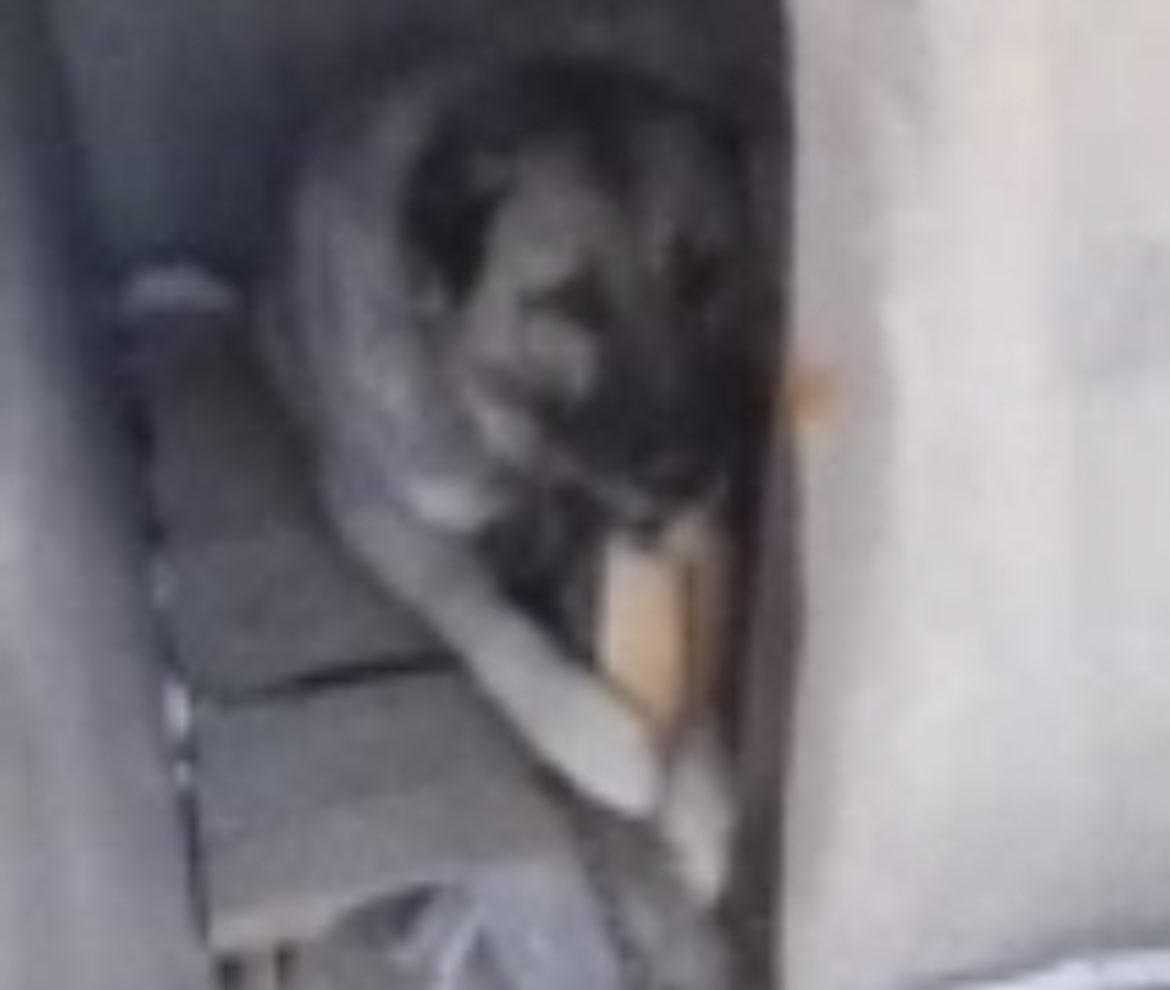 YYT (@yeyeten) on Twitter photo 