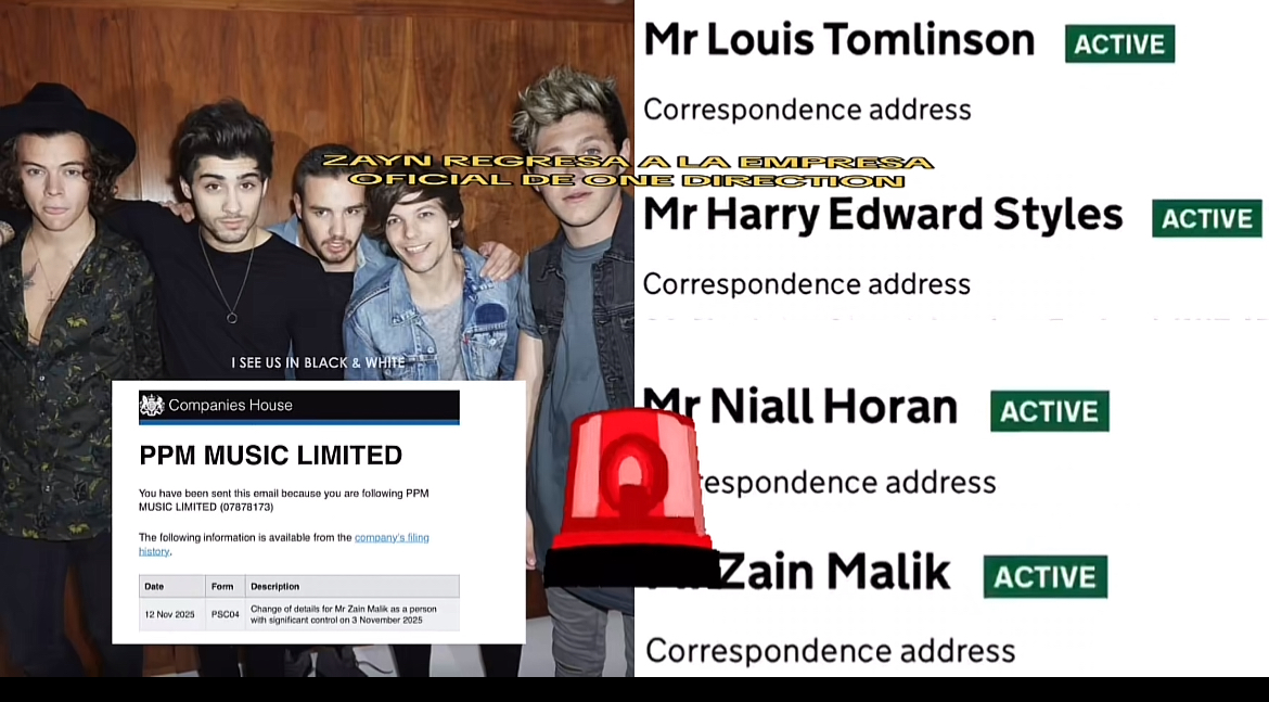 Lagi rame katanya [Zayn] resmi direinstated sebagai direktur aktif di PPM Music Limited (perusahaan resmi 1D) lagi per 3 November 2025 kemarin😌 selamat ngebadut everyone! 🤡