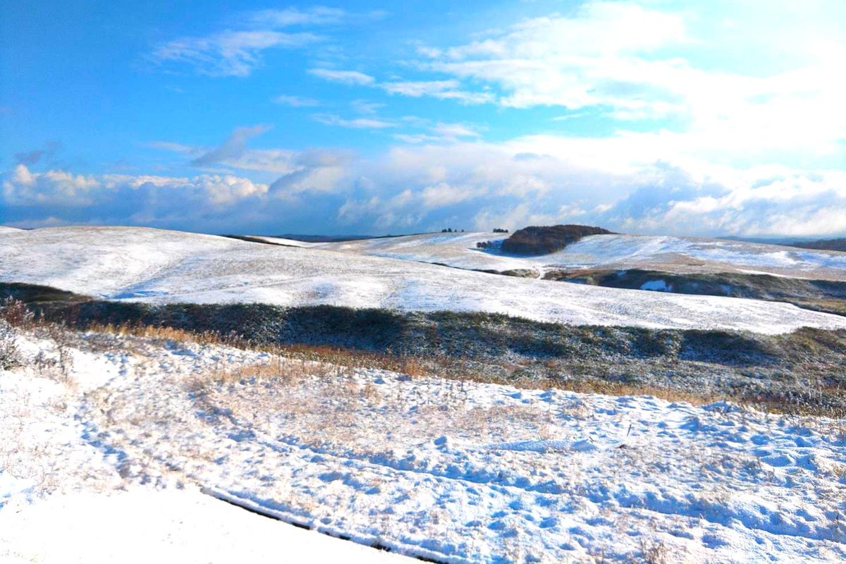 polaris_guides's tweet image. 【#雪景色 の #豊富町 をご案内🌈】

来期からの豊富町の #ヘルスツーリズム 認証プログラムの企業向けツアー販売に向けて、関係者視察と打ち合わせが行われました🍀

豊富町観光協会の方と一緒に旅行会社の方々をご案内して来ました☺

#北海道 #大規模草地牧場 #豊富温泉 #ヘルスツーリズム認証