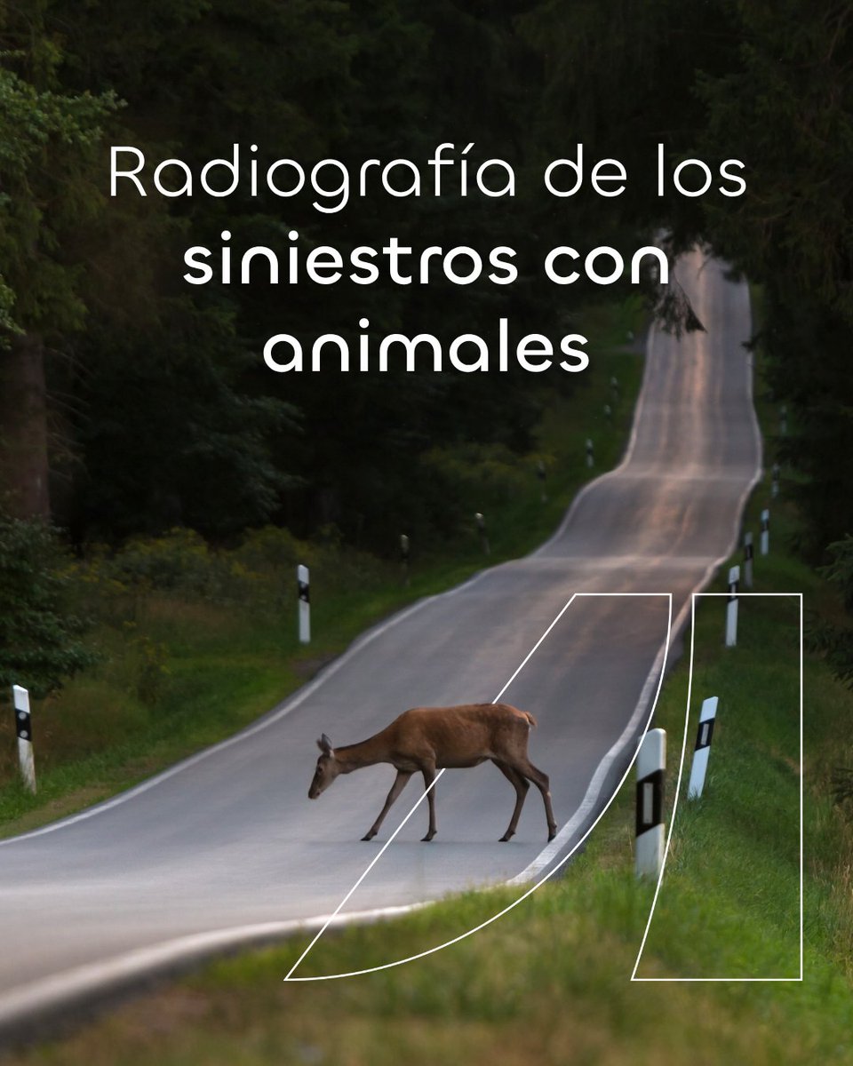 Ayvens España tweet media