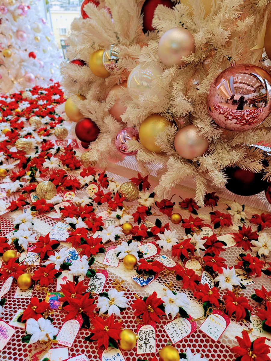 TMmatsudo's tweet photo. 今年のホワイトツリーの足元を彩るポインセチアは、お客さまにワークショップで手作りいただきました🌼ひとつひとつにクリスマスの願いや想いをこめたメッセージタグがつけられています✨ワークショップへご参加いただいたみなさま、ありがとうございました💛
#テラスモール松戸
#クリスマス https://t.co/RHzq6aaiod