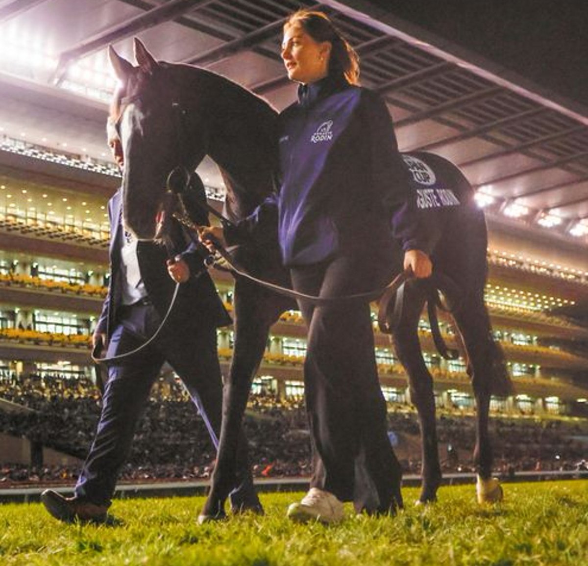 2178❣️ 瑪瑙 馬 唐馬 戦闘馬 朱音(あかね） (@sixyana1) / Posts / X