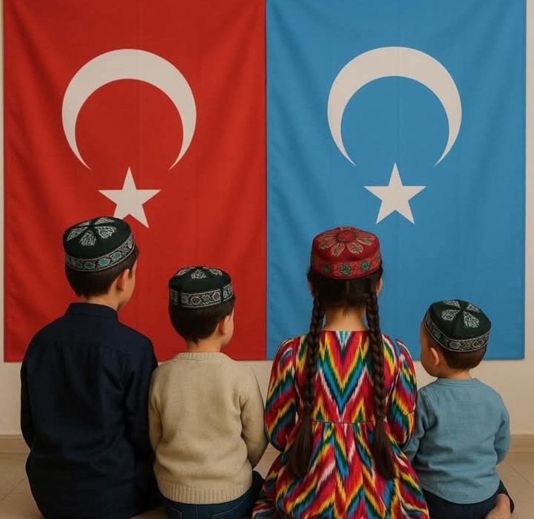 Gül Hatun 🇹🇷 tweet media