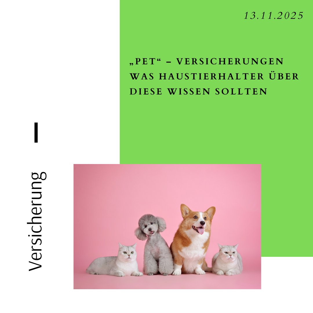 📢 „#PET“ – #Versicherungen
🔎 Was Haustierhalter über diese wissen sollten
🔗 consumer.bz.it/de/pet-versich…
#Haustiere #AdoptDontShop #adoptierenstattkaufen #infos #VZS #Katzen #hund