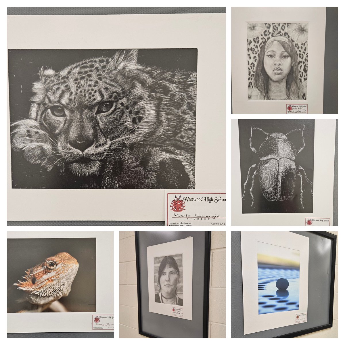 mrskjeter's tweet image. Taking a moment to slow down and appreciate the excellence around us. Our @WHS_Redhawks talent is unmatched, and WHS is proud to create access and opportunity for every scholar to thrive. ❤️🖤 #VisualArts #Excellence #Elite #Empowered @MrsTNicholson @Astephens_WHS