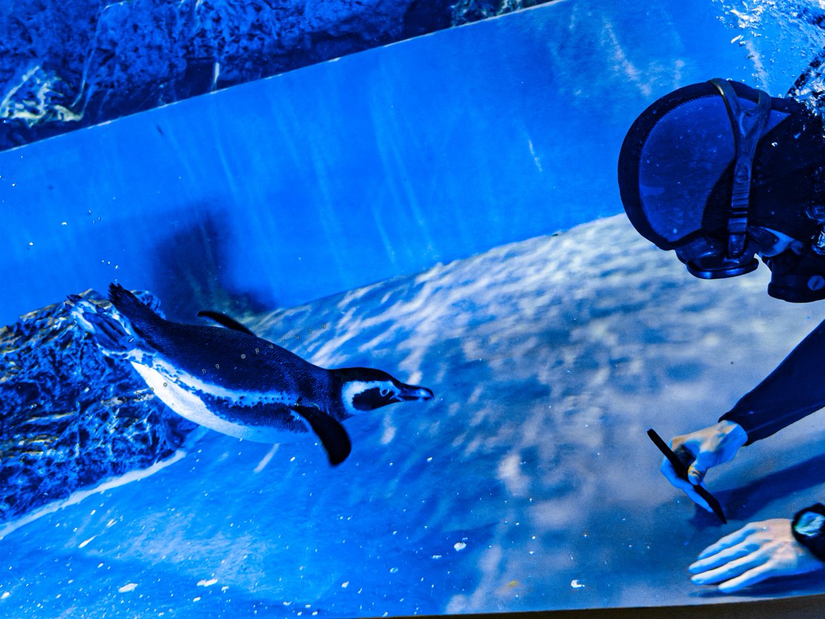 RURUページ るるなっく (@ruru79) / Posts / X