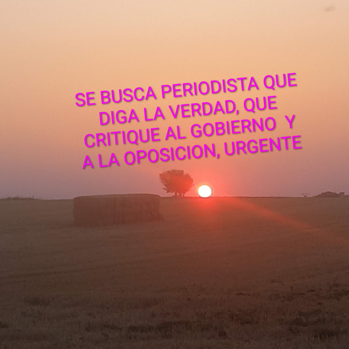 flaskop's tweet image. 