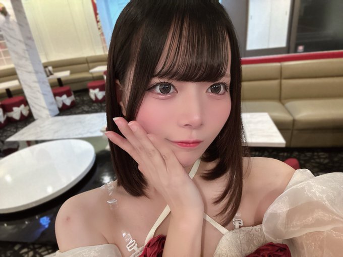 ぷりみゅーむのツイート