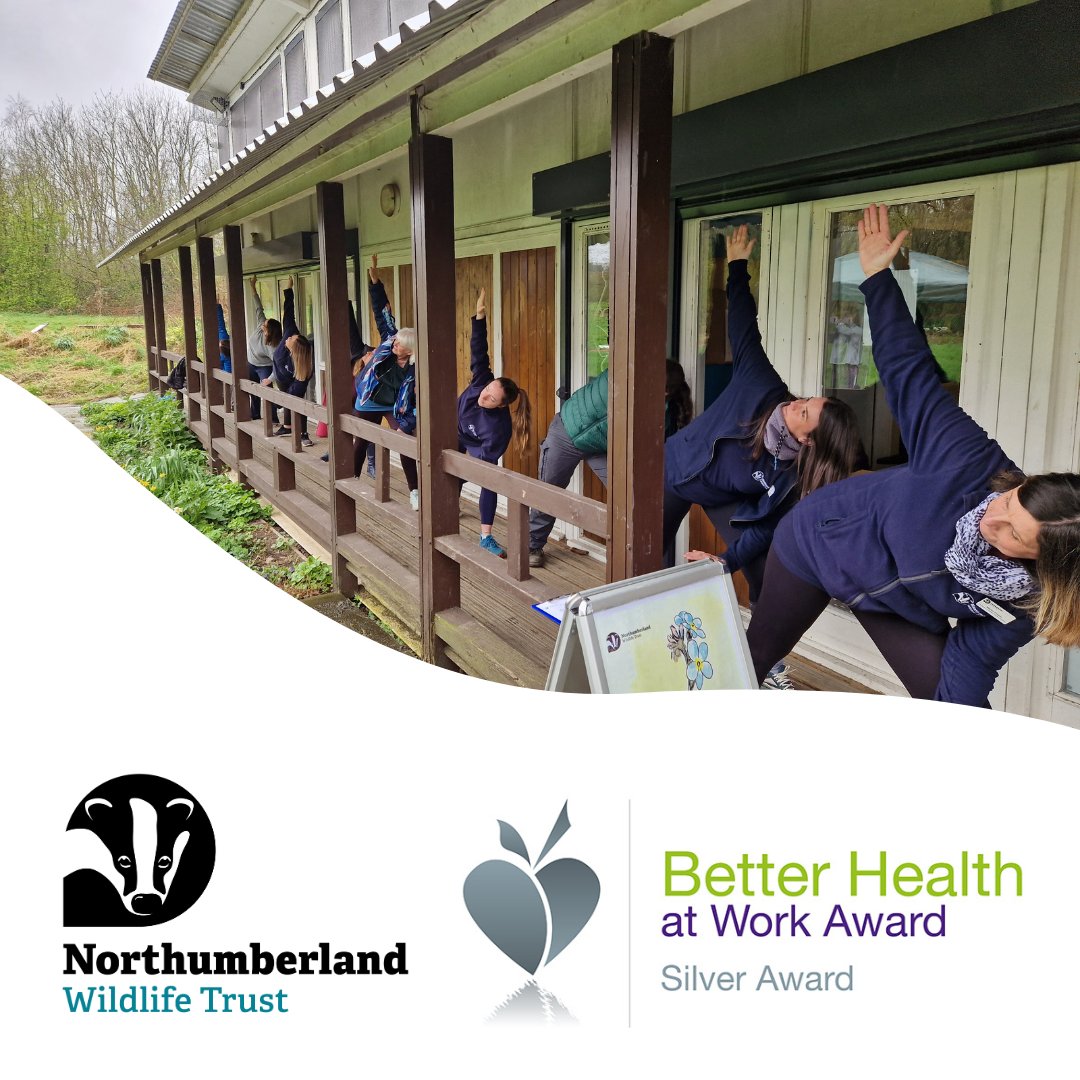 NorthWildlife's tweet image. Thanks to the players of @PostcodeLottery, NWT has been awarded the Silver Better Health at Work Award, which recognizes employers for their commitment to improving employee health and wellbeing through structure initiatives. Thanks again to the wonderful #PostcodeLotteryPeople!
