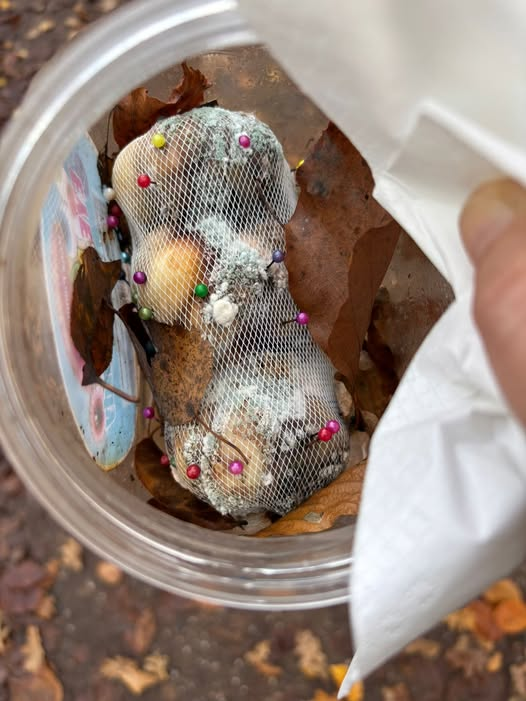 Kopie:
Vogelwoogstraße 67659 Kaiserslautern
vermeintliche Giftköder am Vogelwoog in Kaiserslautern gemeldet!!! Bitte aufpassen