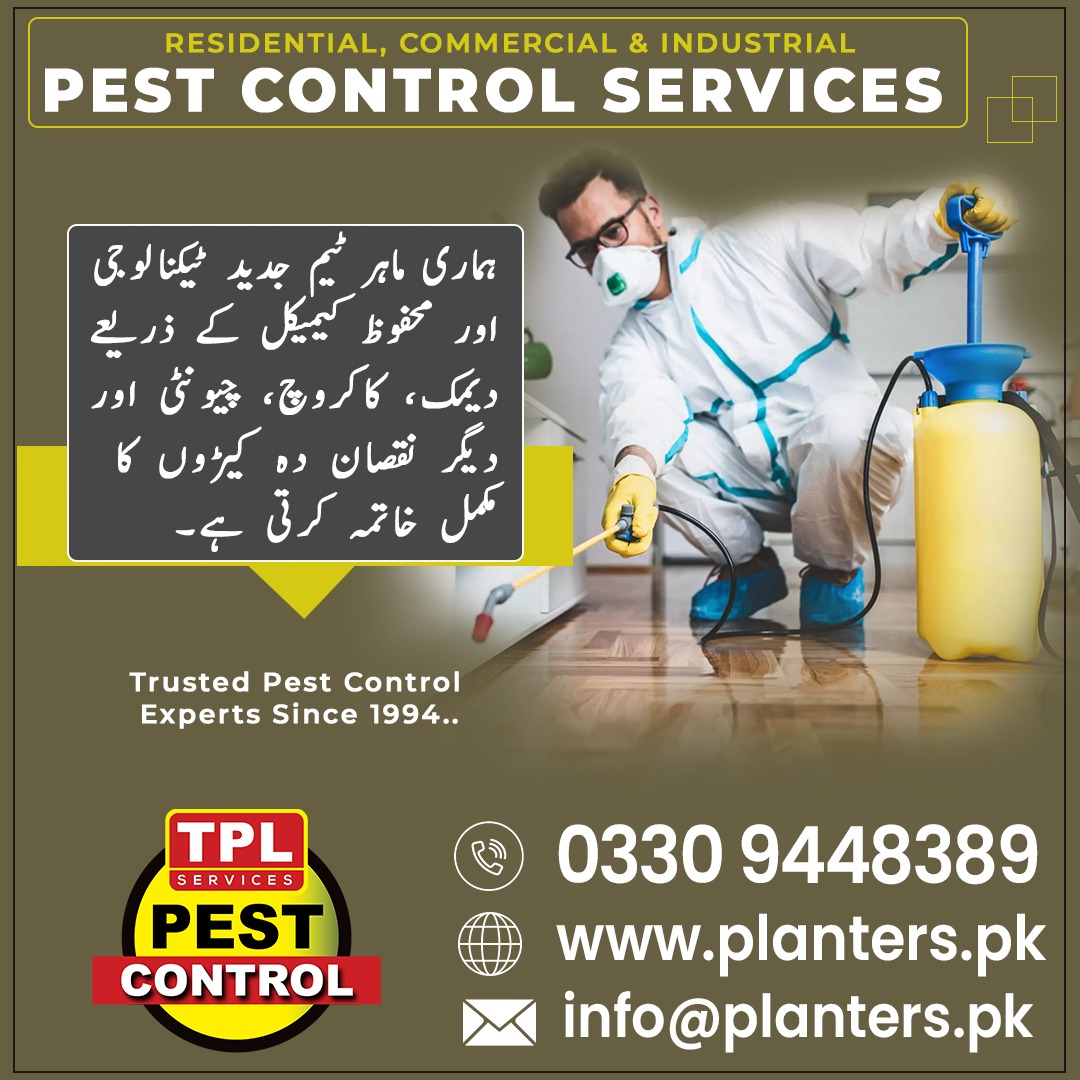 TPLPestControl's tweet image. ہماری ماہر ٹیم جدید ٹیکنالوجی اور محفوظ کیمیکلز کے ذریعے ڈینک، کاکروچ چیونٹی اور دیگر نقصان دہ کیڑوں سے آپ کے ماحول کو مکمل طور پر محفوظ بناتی ہے
 Call 0512303380
 website planters.pk
#PestControl #TPLServices #PlantersPK #CockroachControl #TermiteTreatment #SafeHome