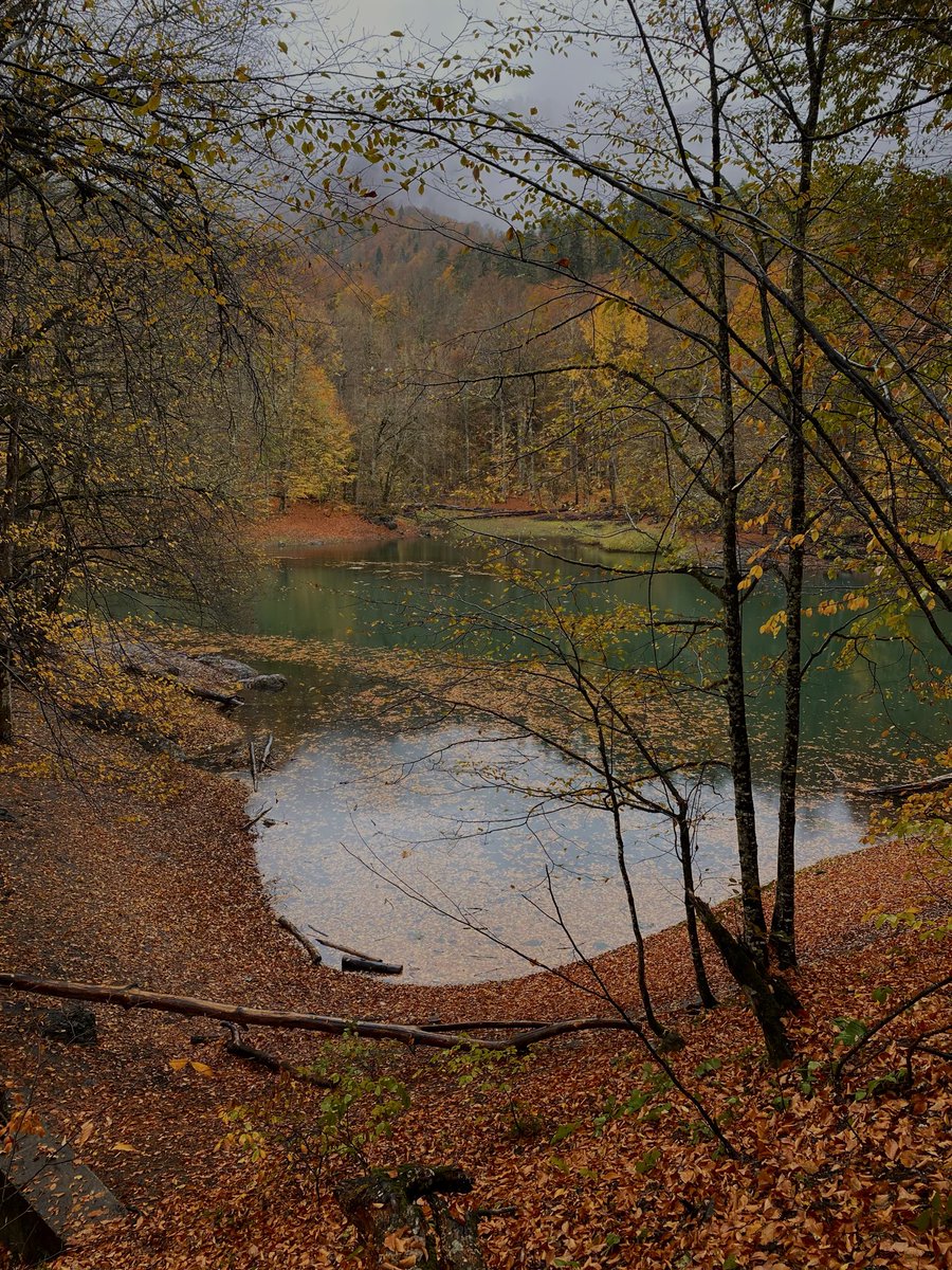 Sonbahar Boluda güzel 🍂
