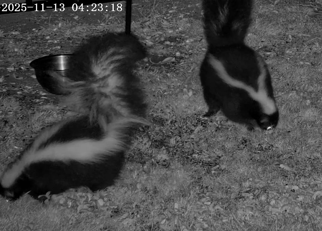 Good morning, Texas, from a pair of my regulars