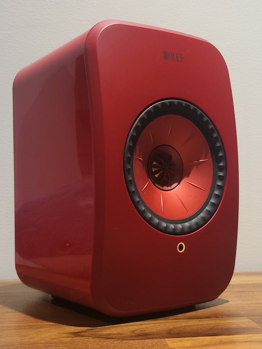 ShyKitten tweet media