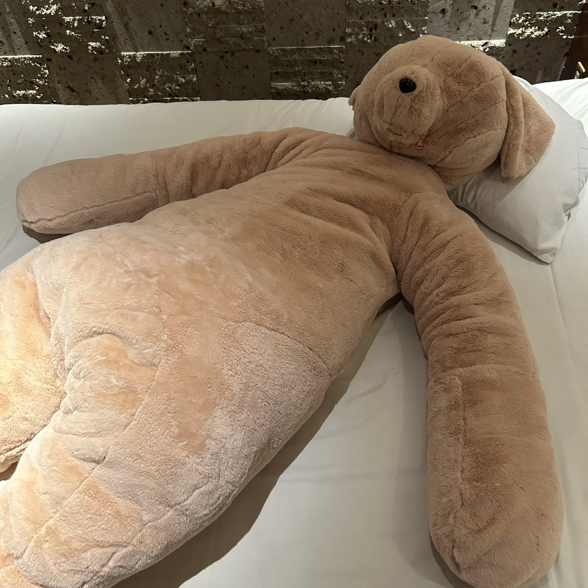 SaoriFur's tweet image. Now accepting commissions for dog and bear plush suits 🧸🐶

Worldwide shipping available.
Flexible payment methods — just DM me!
I can show you the available fabrics and designs.

犬とクマのぬいぐるみスーツ、コミッション受付中です❣️
DMにてご連絡ください！

#plushsuit #kigurumi…