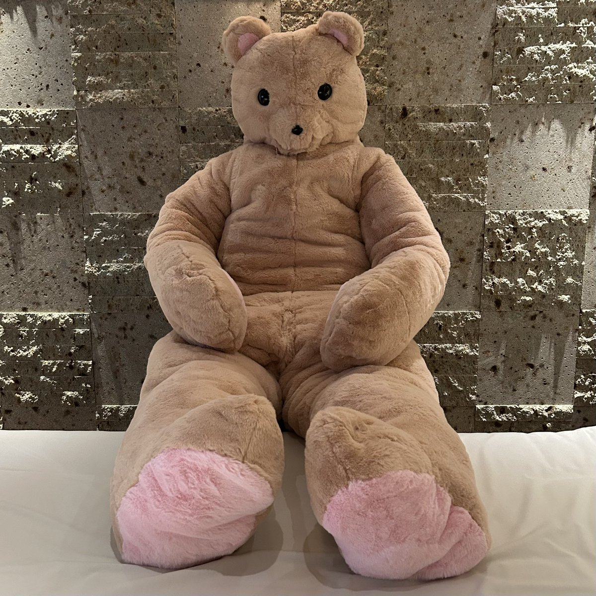 SaoriFur's tweet image. Now accepting commissions for dog and bear plush suits 🧸🐶

Worldwide shipping available.
Flexible payment methods — just DM me!
I can show you the available fabrics and designs.

犬とクマのぬいぐるみスーツ、コミッション受付中です❣️
DMにてご連絡ください！

#plushsuit #kigurumi…