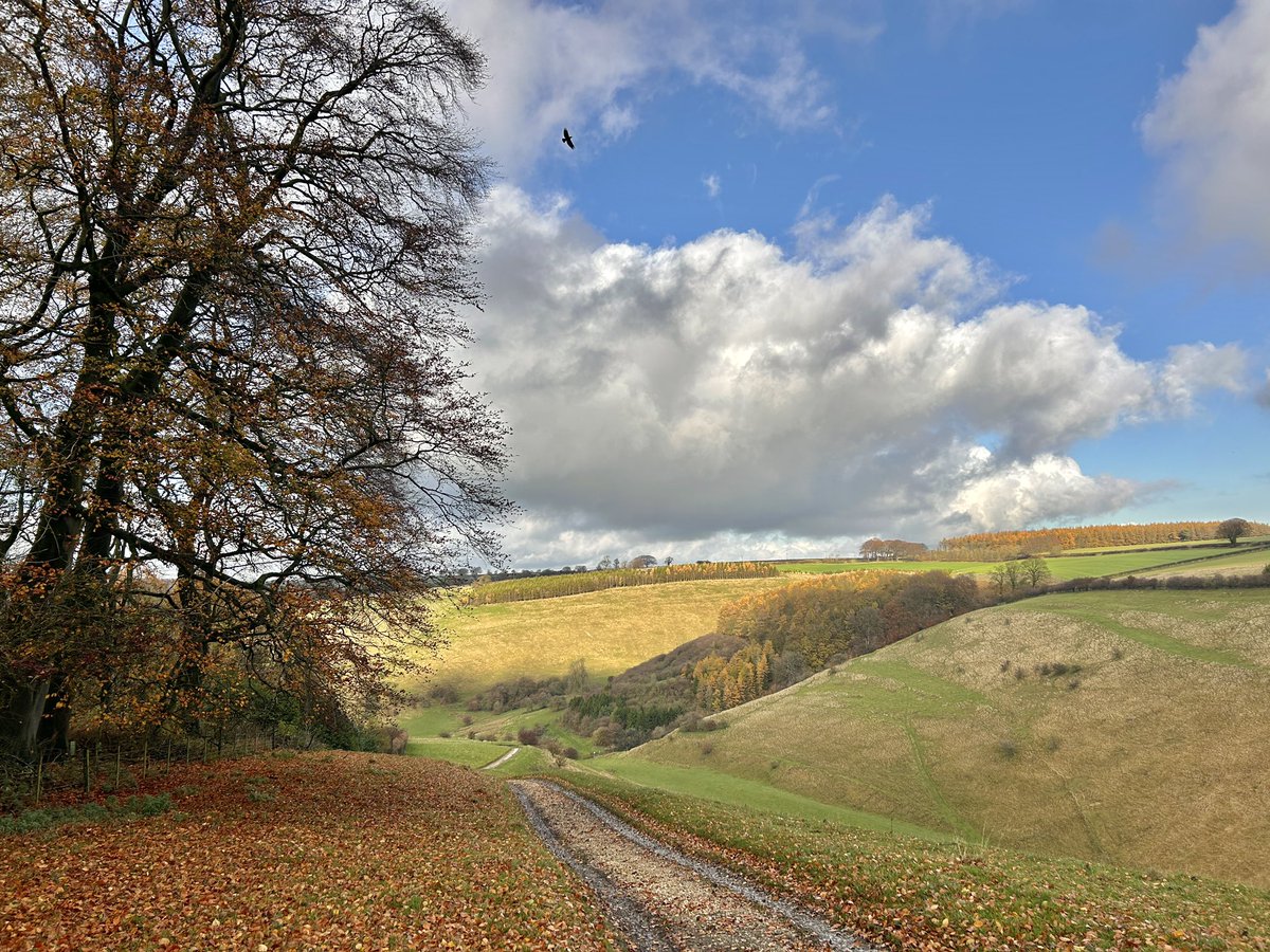 WeatherWolds's tweet image. Muddy Tracks. 12°C after overnight rain. A lone crow.🐦‍⬛