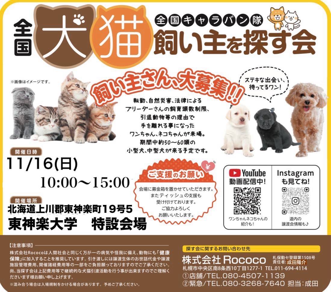 TakoOncode's tweet image. 今週末は
15日(土)
士別リファインド朝日店様
16日(日)
わんふぁみ旭川
となっております！
わんふぁみは東神楽大学ですよー！

今週末もよろしくお願いいたします✨️