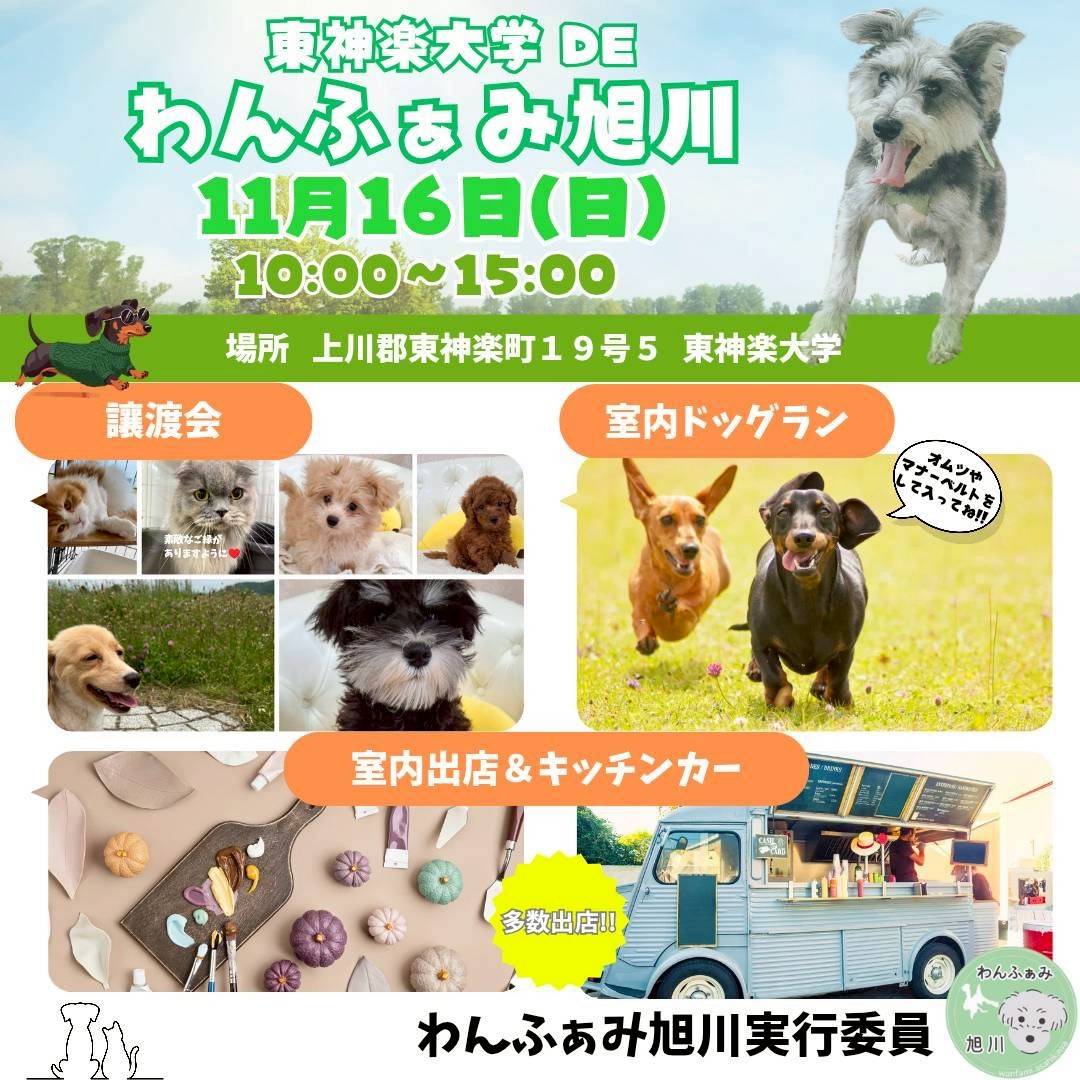 TakoOncode's tweet image. 今週末は
15日(土)
士別リファインド朝日店様
16日(日)
わんふぁみ旭川
となっております！
わんふぁみは東神楽大学ですよー！

今週末もよろしくお願いいたします✨️