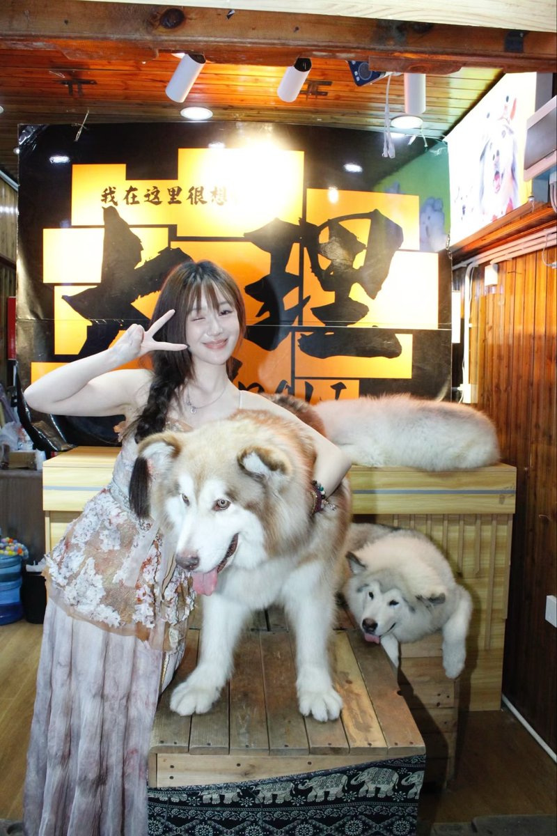 ashdt888's tweet photo. 大理等你 #旅游推荐 #日常 #御姐女王 https://t.co/MCJwQ7fH8J
